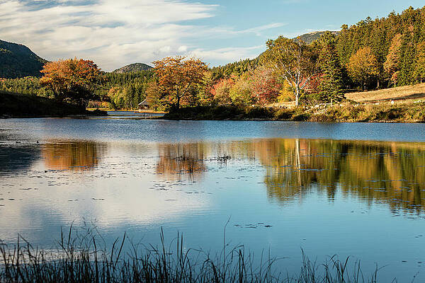 Desert Photograph - Little Long Pond 1 by Craig A Walker
