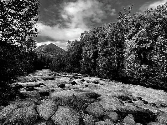 Wall Art featuring the photograph Little Su BW by Harry Banks