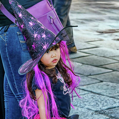 Heritage Wall Art featuring the photograph Little Witch by Steven Dos Remedios