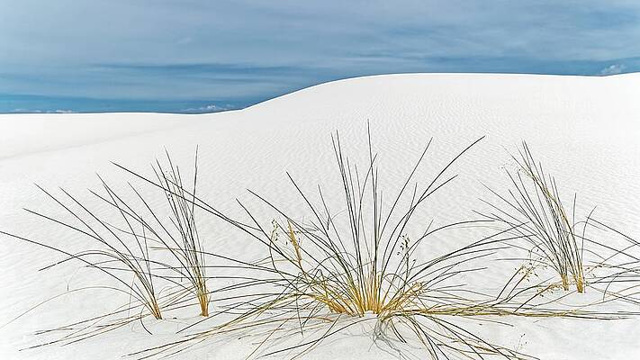 Wall Art featuring the photograph Live Fast, Die Young - White Sands National Park by KJ Swan