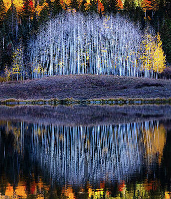 Yellow Wall Art featuring the photograph Live Nudes by Kevin Schwalbe