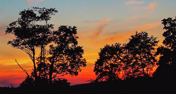 Wall Art featuring the photograph Livingston Manor2 by John Linnemeyer