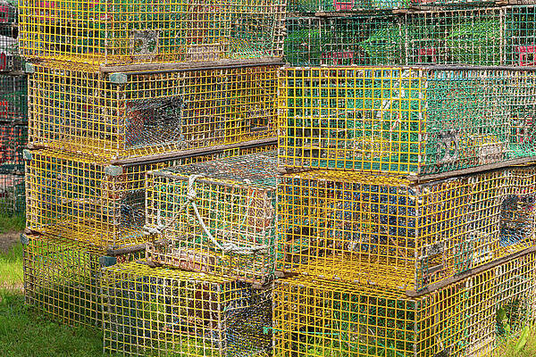 Maine Wall Art featuring the photograph Lobster Pots by Donna Twiford