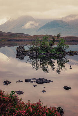 Tranquil Reflection on Misty Lake Wall Art