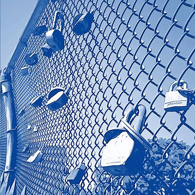 Wall Art featuring the photograph Locked In Blue by Onedayoneimage Photography