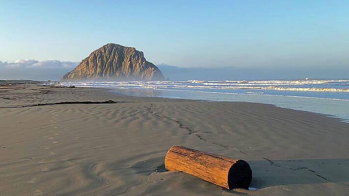 Wall Art featuring the photograph Log On Beach At Morro Rock by Matthew DeGrushe