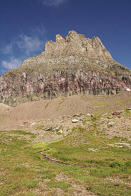 Wilderness Wall Art featuring the photograph Logan Pass Area At Glacier National Park #1 by Nancy Gleason