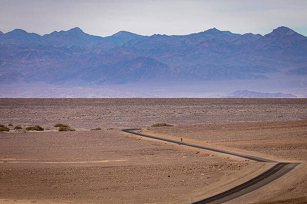 California Wall Art featuring the photograph Lone Bicyclist by Craig A Walker