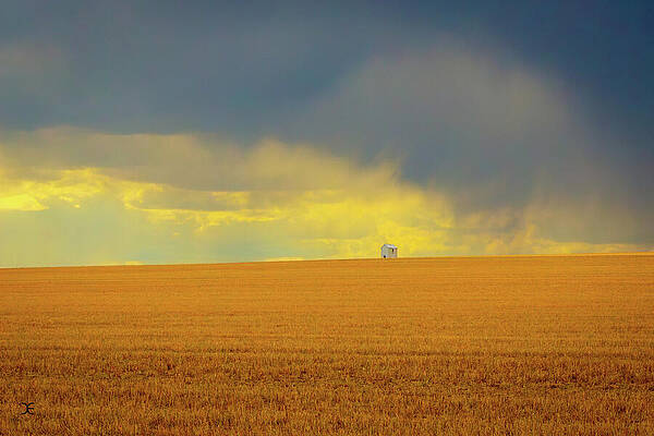 Wall Art featuring the photograph Lone Building In Wheat Field by Carla E