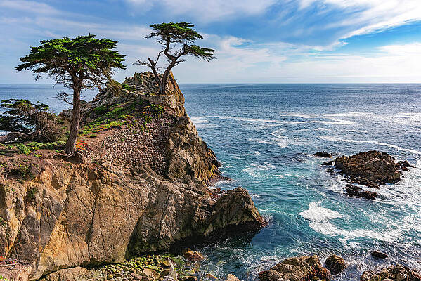 Landscape Photograph - Lone Cypress Cove, Monterey, California by Abbie Warnock