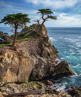 Landscape Photograph - Lone Cypress Cove, Monterey, California - Vertical by Abbie Warnock