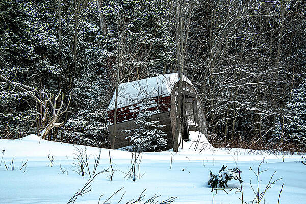 Winter Wall Art featuring the photograph Long Forgotten by Vi Ray