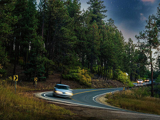 Tree Photograph - Long, Long Winding Road by Robert Niemeier