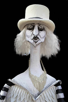 Dramatic Wall Art featuring the photograph Long Neck by Elvira Peretsman