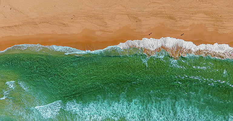 Natural Wall Art featuring the photograph Long Reef Beach No 1 #1 by Andre Petrov