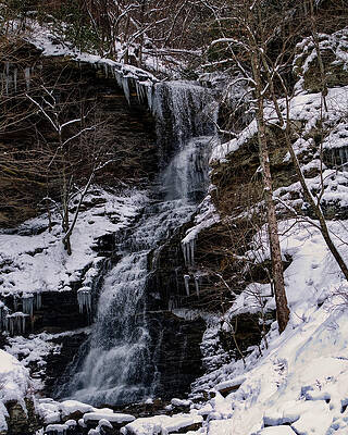 Wall Art featuring the photograph Long Shot 2 Of A Winter Cathedral Falls by Flees Photos