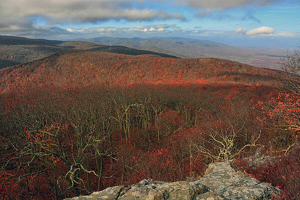 Wilderness Wall Art featuring the photograph Looking At The Priest Wilderness From The North by Raymond Salani III