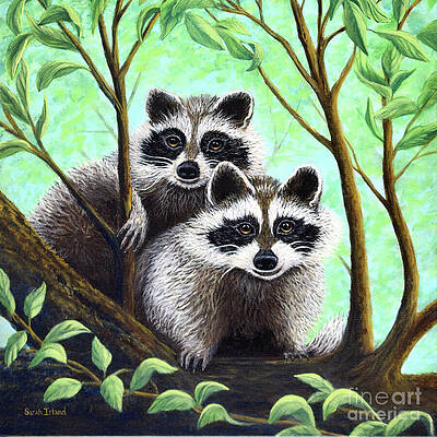 Looking Back by Sarah Irland