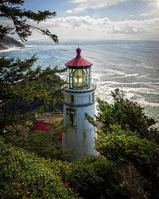 Coastal Lighthouse in Sunlight Wall Art