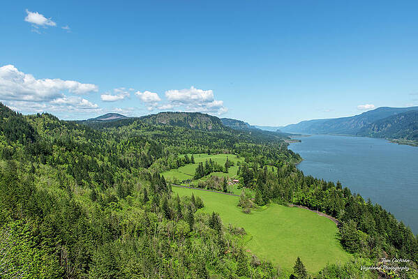 Oregon Wall Art featuring the photograph Looking East On The Columbia River by Tom Cochran