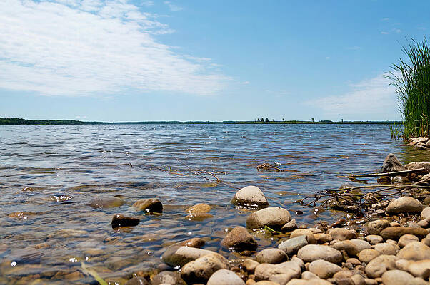 Wildlife Photograph - Looking Out Over The Luther Marsh In Ontario by John Twynam