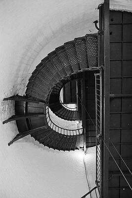 Black And White Photograph - Looking Up by Gina Cinardo