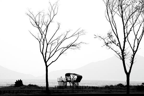 Wall Art featuring the photograph Lookout by Mia Badenhorst