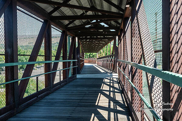 Photograph - Loop Trail Pedestrian Bridge 1 by Tom Cochran