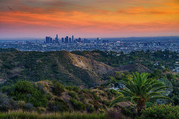 Wall Art featuring the photograph Los Angeles Skyline At Sunset From Mt. Lee Drive, California by Miroslav Liska