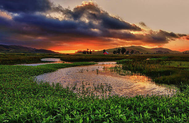 Serene Sunset Over Marshlands Wall Art