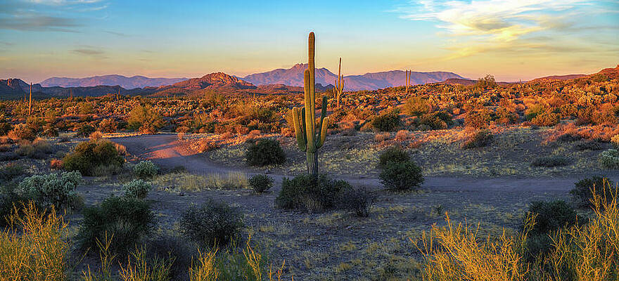 Wall Art featuring the photograph Lost Dutchman State Park In Arizona At Sunset by Miroslav Liska