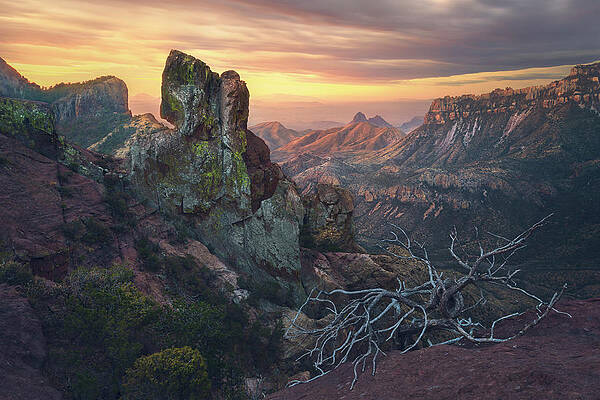 Wall Art featuring the photograph Lost Light by Slow Fuse Photography