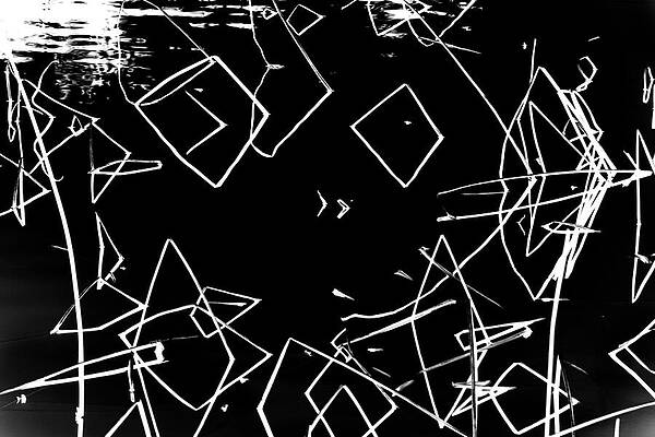 Wall Art featuring the photograph Lotus Stalks by Mia Badenhorst