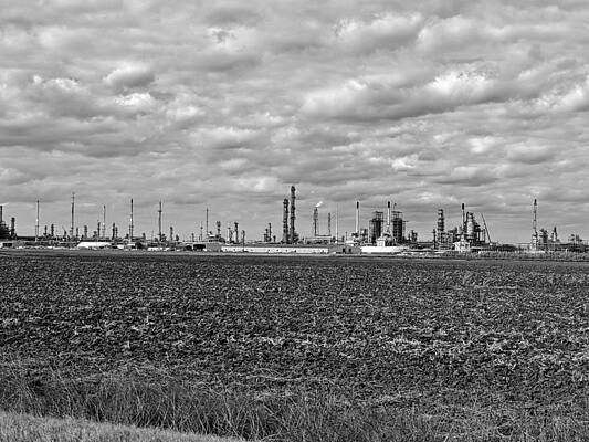 Louisiana Wall Art featuring the photograph Louisiana In Black And White by David McKinney