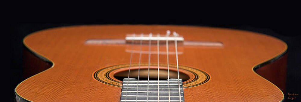 Music Wall Art featuring the photograph Low Angle by Barbara Siegel