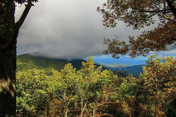 Wall Art featuring the photograph Low Clouds by Deb Beausoleil
