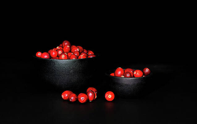Colorful Photograph - Low Key Cranberries In Two Black Bowls by Charles Floyd