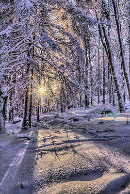 Wall Art featuring the photograph Low Sun Long White Shadows by Dale Kauzlaric