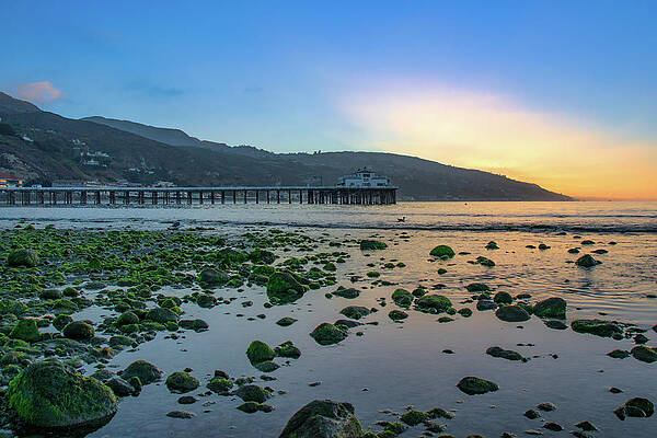 Wall Art featuring the photograph Low Tide At Malibu Pier by Matthew DeGrushe