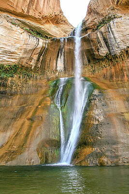 Utah Wall Art featuring the photograph Lower Calf Creek Falls by Diane Moller