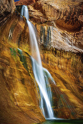 Unique Photograph - Lower Calf Creek Falls, Utah - Side View Vertical by Abbie Warnock