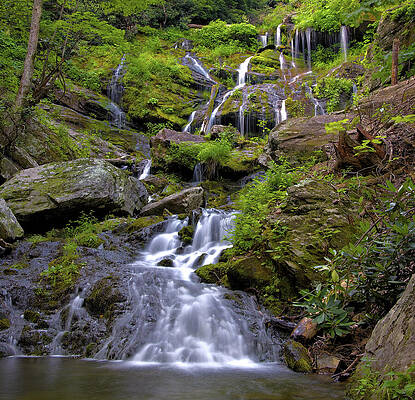 Wall Art featuring the photograph Lower Catawba by Bob Falcone