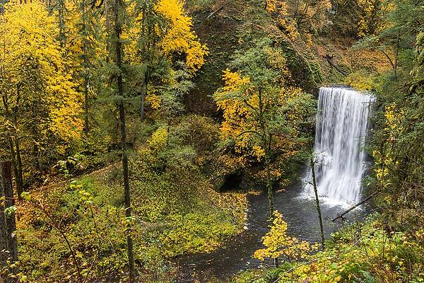 Oregon Photograph - Lower South Falls 2021 by Diane Moller