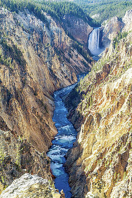 Majestic Waterfall in Grand Canyon of Yellowstone Wall Art