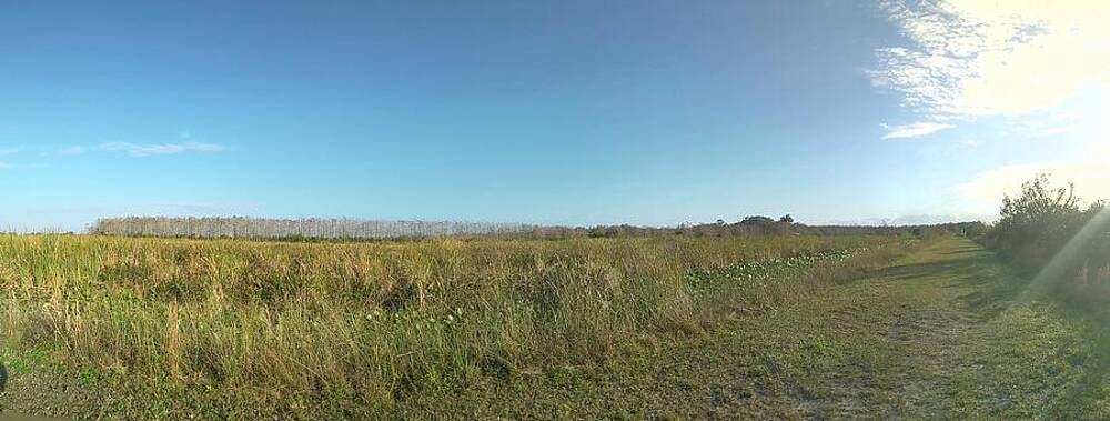 Nature Photograph - Loxahatchee Wildlife Refuge 1 by David McKinney