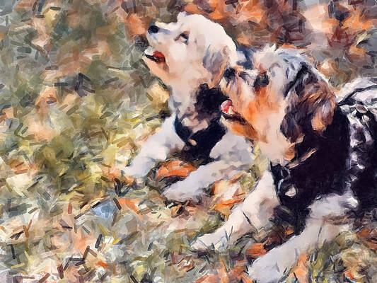 Pet Wall Art featuring the painting Loyal Maltese Shih Tzu by Gary Arnold