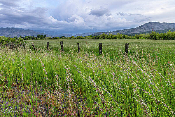 Sky Wall Art featuring the photograph Loyalton Walkabout by Charlie Osborn