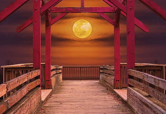 Sky Photograph - Lunar Landing by Jason Fink