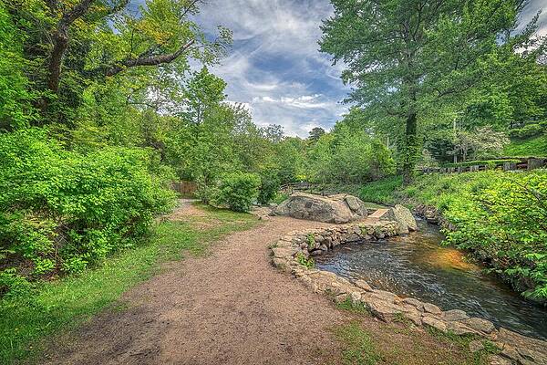 Massachusetts Wall Art featuring the photograph Luscious Path At Stony Brook by Penny Polakoff