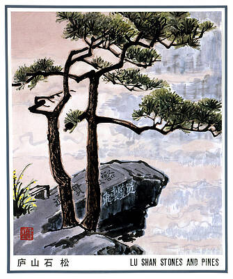 Lushan Mountain - Stones And Pines Print